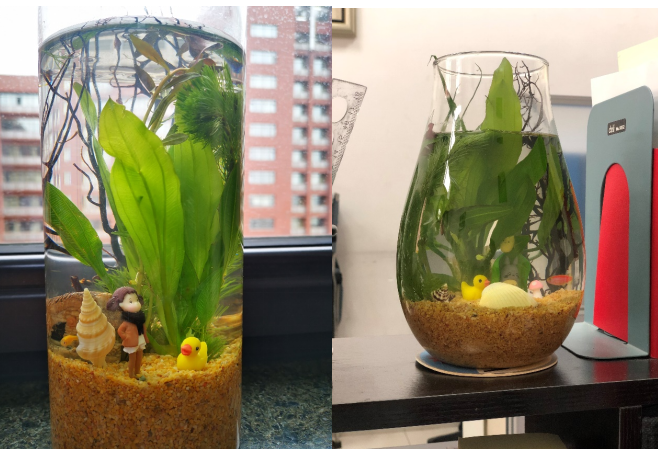 1616136660931566.png 1616136660931566.png